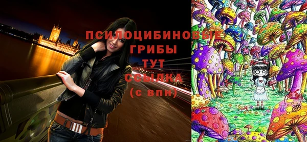 apvp Арсеньев