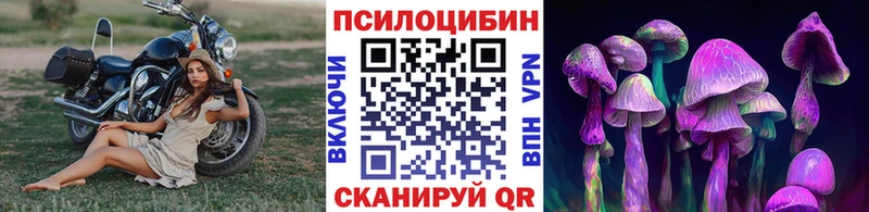 Псилоцибиновые грибы Psilocybine cubensis  хочу   Байкальск 
